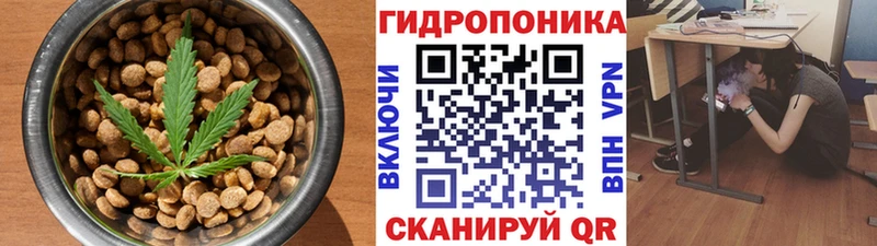 Canna-Cookies марихуана Ефремов