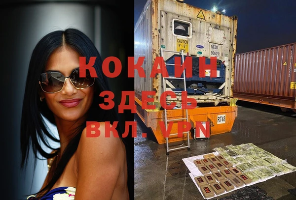 молекула духа Каменск-Шахтинский