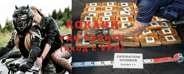 гашик Каменногорск