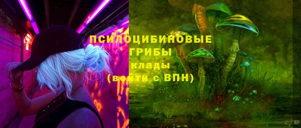 молекула духа Каменск-Шахтинский