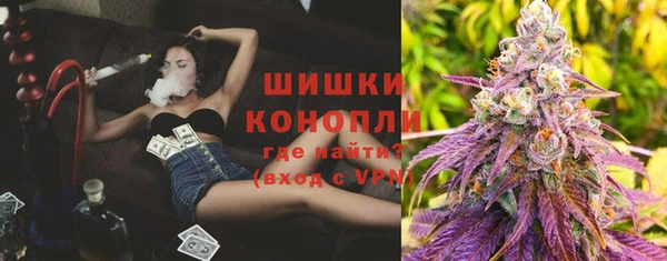 гашик Каменногорск
