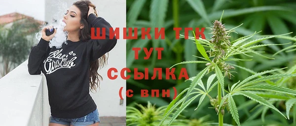 молекула духа Каменск-Шахтинский