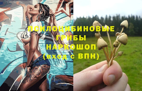 2c-b Каменка