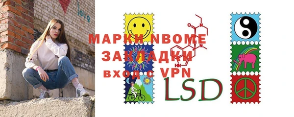 гашик Каменногорск