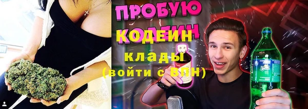 2c-b Каменка