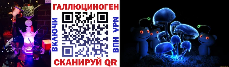 Галлюциногенные грибы Cubensis  купить наркоту  Ефремов 