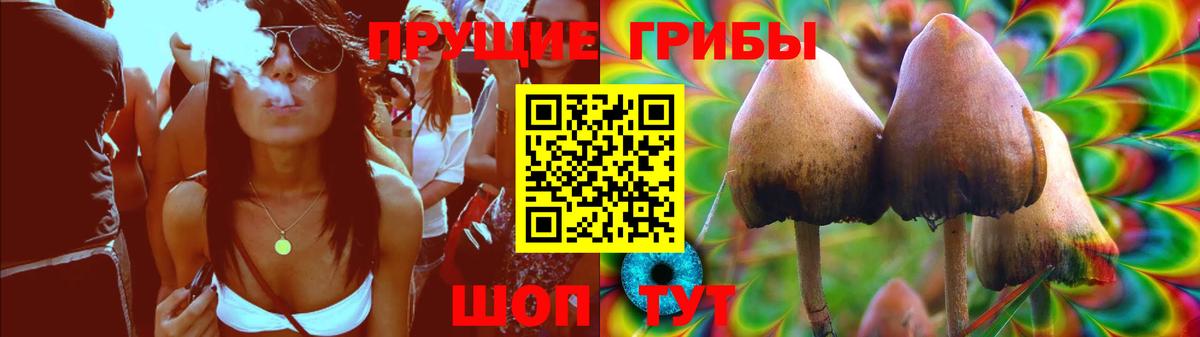 Галлюциногенные грибы ЛСД Ефремов